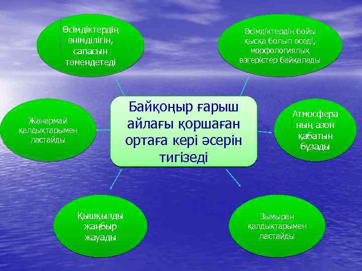 Өсімдіктердің өнімділігін, сапасын төмендетеді Жанармай қалдықтарымен ластайды Қышқылды жаңбыр жауады Өсімдіктердің бойы қысқа болып