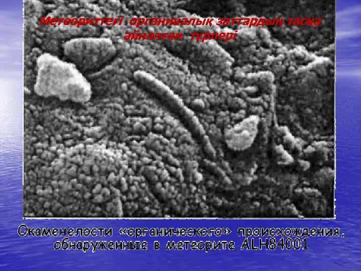 Метеориттегі органикалық заттардың тасқа айналған түрлері 
