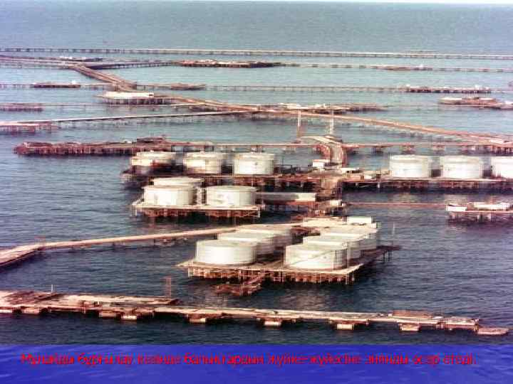 Мұнайды бұрғылау кезінде балықтардың жүйке-жүйесіне зиянды әсер етеді. 