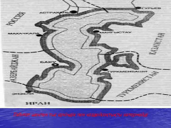 Табиғат шектен тыс еркіндік пен кездейсоқтықты көтермейді 