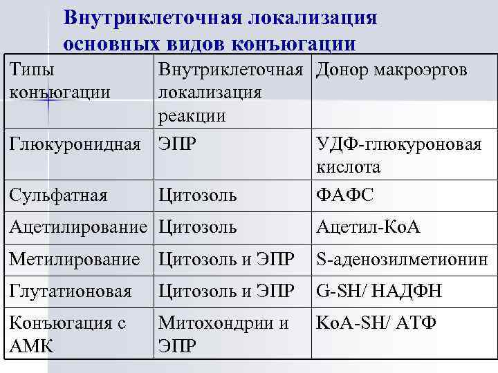 Внутриклеточная локализация основных видов конъюгации Типы конъюгации Внутриклеточная Донор макроэргов локализация реакции Глюкуронидная ЭПР