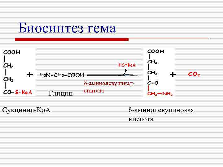 Биосинтез гема H 2 N-CH 2 -COOH Глицин Сукцинил-Ко. А δ-аминолевулинатсинтаза δ-аминолевулиновая кислота 