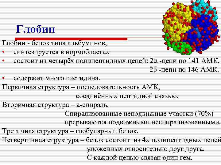 Глобин - белок типа альбуминов, • синтезируется в нормобластах • состоит из четырёх полипептидных