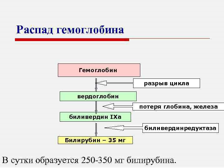 Распад гемоглобина Гемоглобин разрыв цикла вердоглобин потеря глобина, железа биливердин IXa биливердинредуктаза Билирубин –