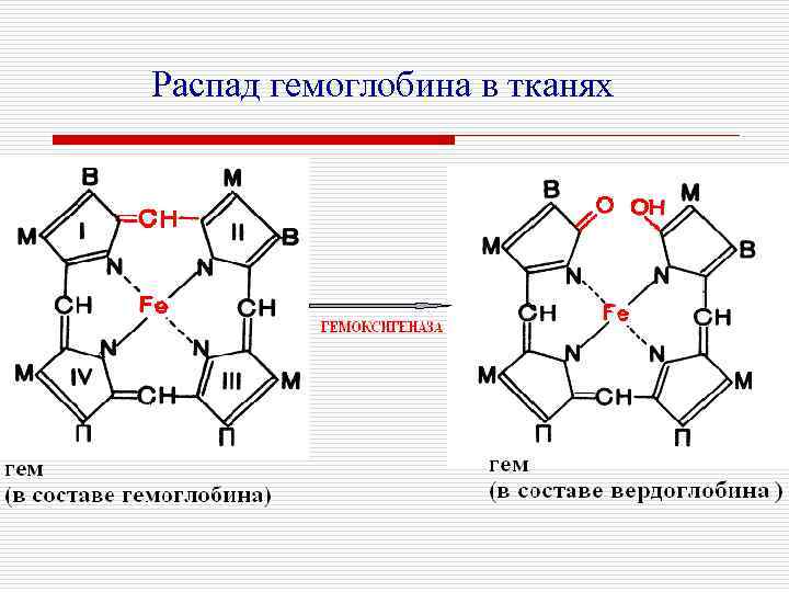 Распад гемоглобина в тканях 