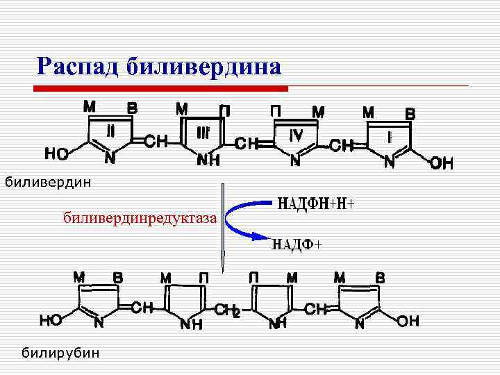 Распад биливердина биливердинредуктаза билирубин 