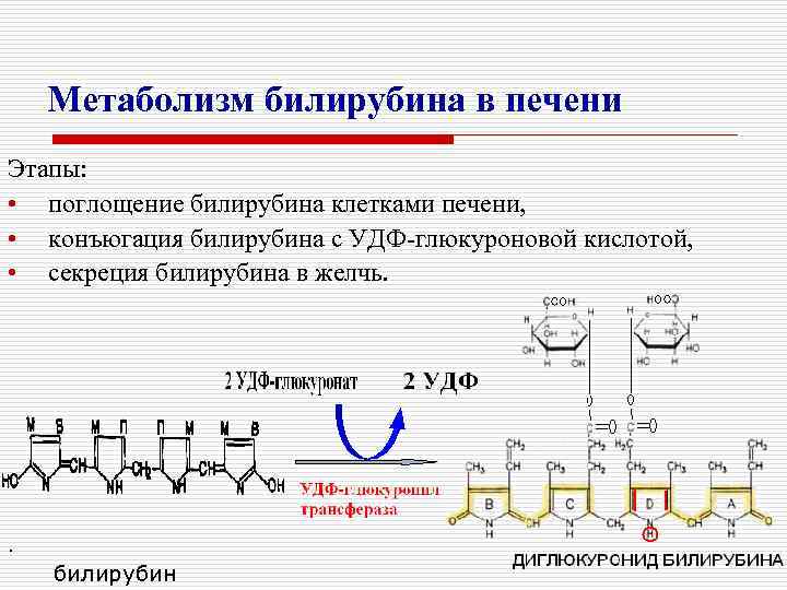 Схема обезвреживания билирубина