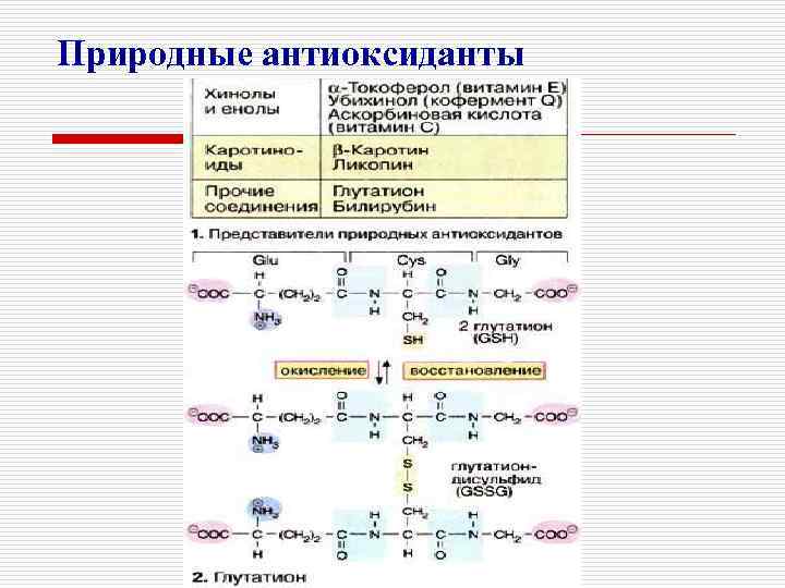 Природные антиоксиданты 