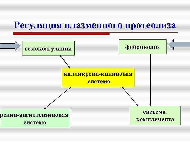 Регуляция плазменного протеолиза гемокоагуляция фибринолиз калликреин-кининовая система ренин-ангиотензиновая система комплемента 