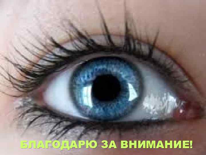 БЛАГОДАРЮ ЗА ВНИМАНИЕ! 