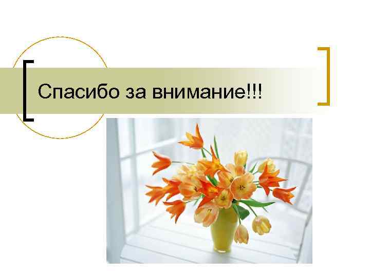 Спасибо за внимание!!! 