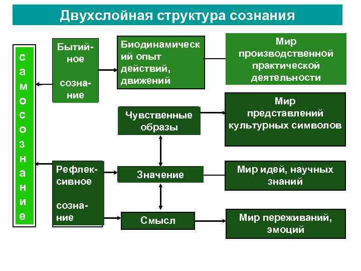 Сознание является результатом деятельности