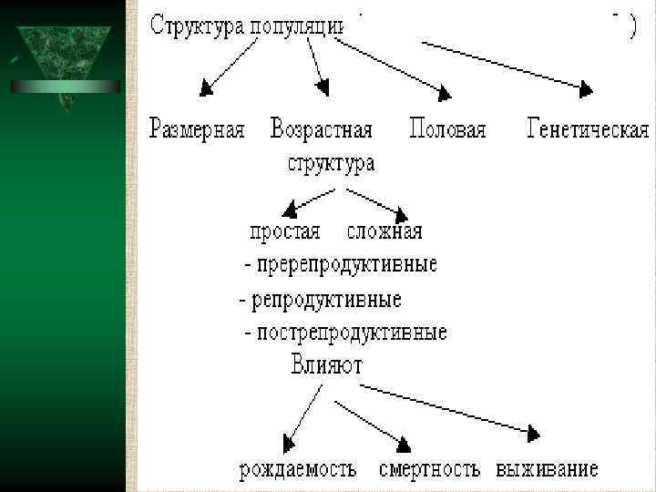  Второй уровень структуры Третий уровень структуры Четвёртый уровень структуры Пятый уровень структуры Шестой