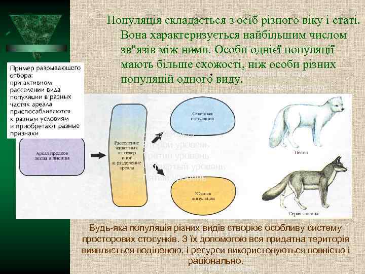 Популяція складається з осіб різного віку і статі. Вона характеризується найбільшим числом Для правки