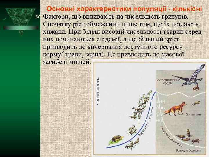 Основні характеристики популяції - кількісні Фактори, що впливають на чисельність гризунів. Спочатку ріст обмежений