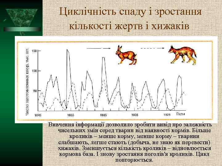 Циклічність спаду і зростання кількості жертв і хижаків Вставка клипа Вивчення інформації дозволило зробити