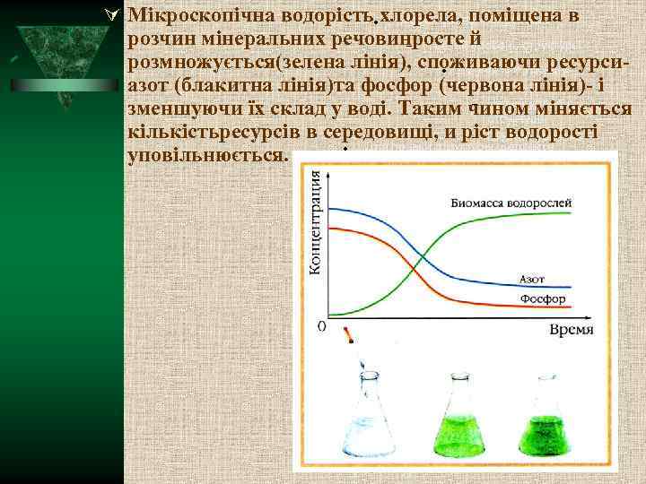  Мікроскопічна водорість хлорела, поміщена в Второй уровень структуры розчин мінеральних речовинросте й Третий