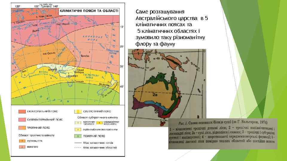 Саме розташування Австралійського царства в 5 кліматичних поясах та 5 кліматичних областях і зумовило