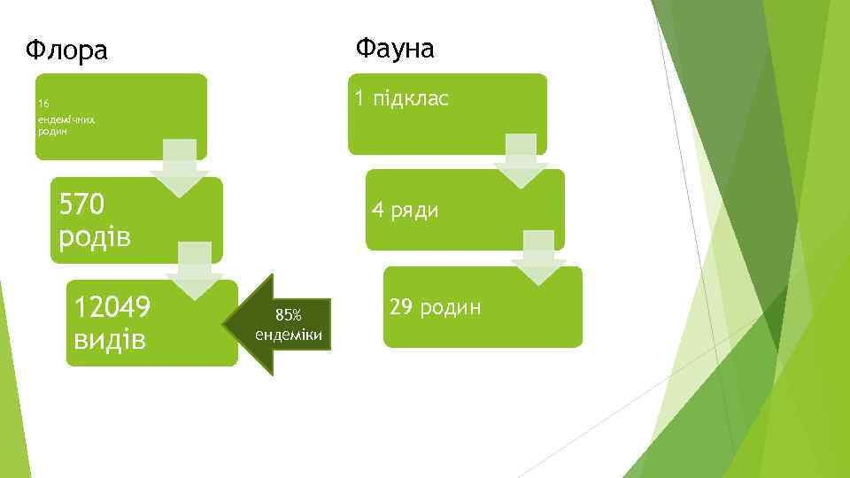 Фауна Флора 1 підклас 16 ендемічних родин 570 родів 12049 видів 4 ряди 85%