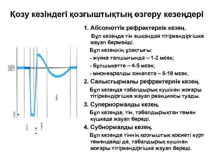 Қозу кезіндегі қозғыштықтың өзгеру кезеңдері 1. Абсолюттік рефрактерлік кезең. Бұл кезеңде тін ешқандай тітіркендіргішке