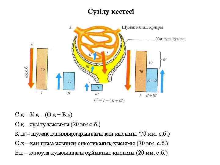 Сүзілу кестесі С. қ = К. қ – (О. қ + Б. қ) С.