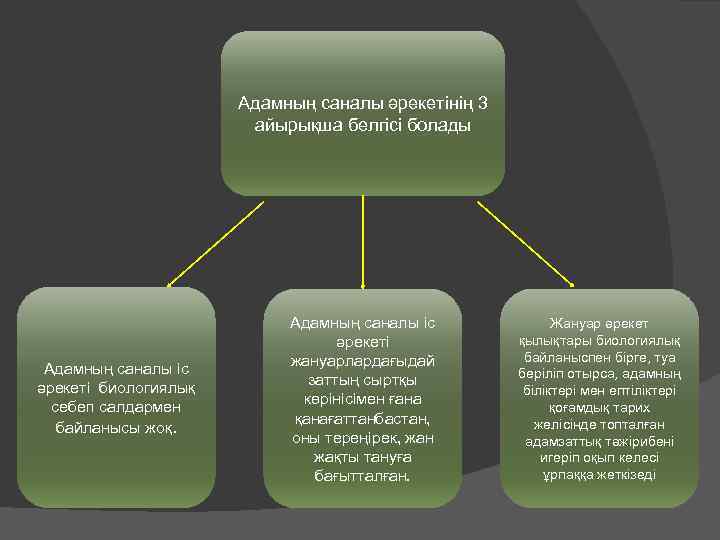 Адамның саналы әрекетінің 3 айырықша белгісі болады Адамның саналы іс әрекеті биологиялық себеп салдармен