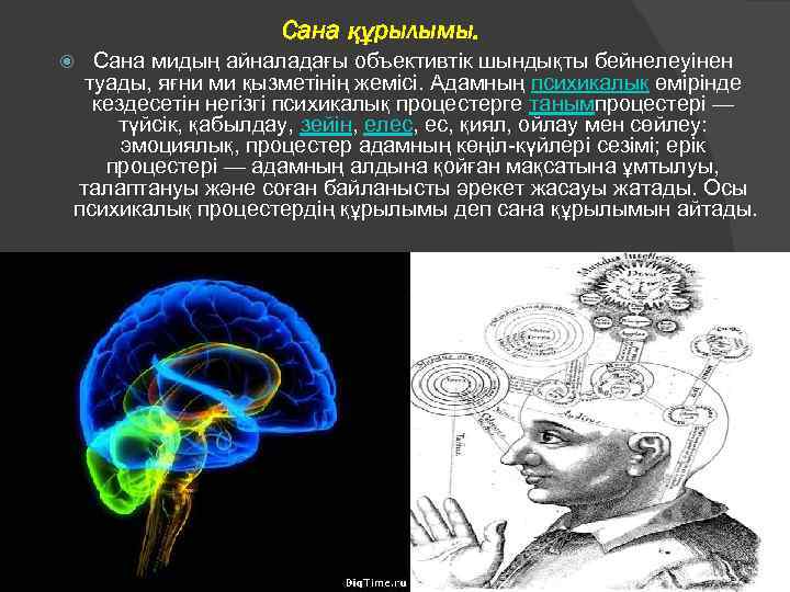 Сана құрылымы. Сана мидың айналадағы объективтік шындықты бейнелеуінен туады, яғни ми қызметінің жемісі. Адамның