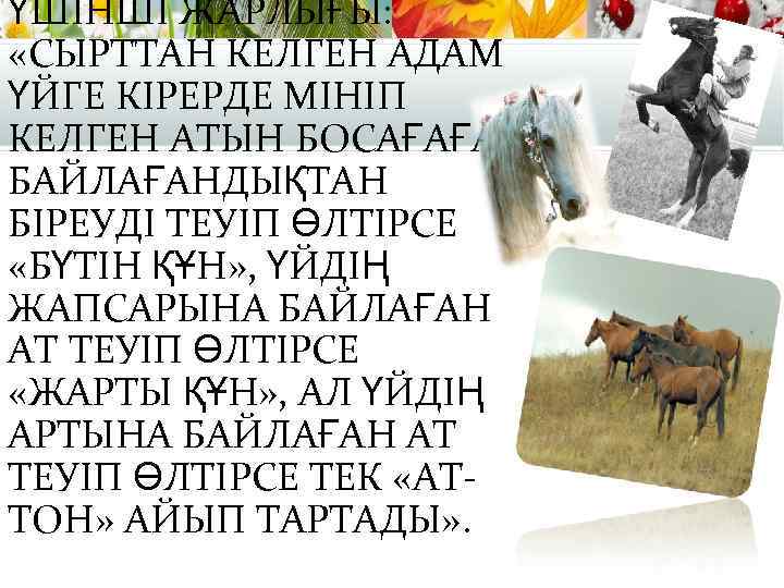 ҮШІНШІ ЖАРЛЫҒЫ: «СЫРТТАН КЕЛГЕН АДАМ ҮЙГЕ КІРЕРДЕ МІНІП КЕЛГЕН АТЫН БОСАҒАҒА БАЙЛАҒАНДЫҚТАН БІРЕУДІ ТЕУІП