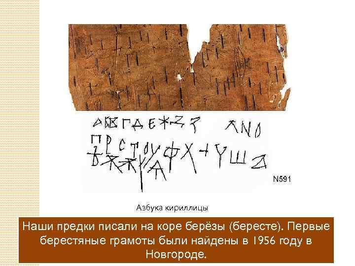 Азбука кириллицы Какой материал использовали берёзы (бересте). Первые Наши предки писали на коре наши