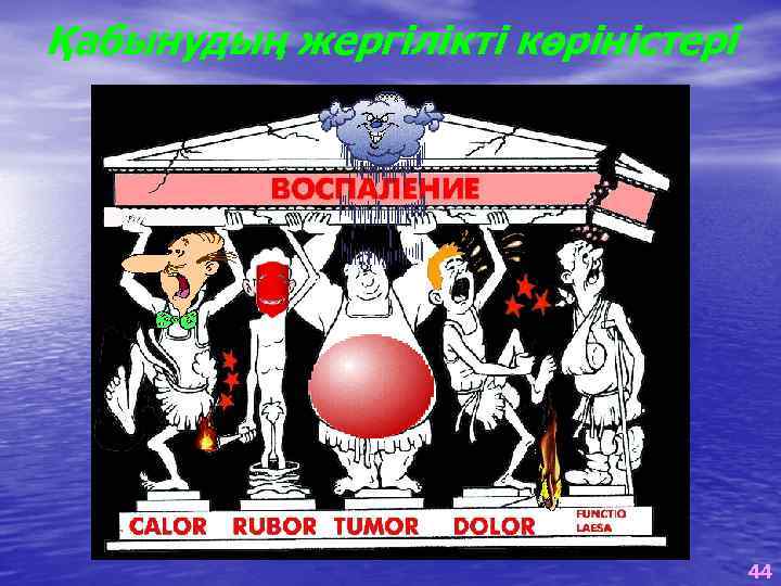 Қабынудың жергілікті көріністері 44 