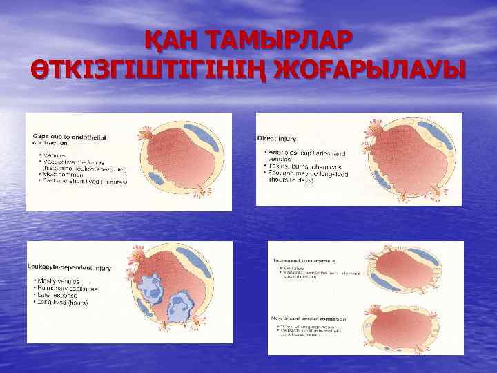 ҚАН ТАМЫРЛАР ӨТКІЗГІШТІГІНІҢ ЖОҒАРЫЛАУЫ 