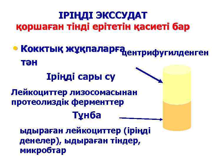 ІРІҢДІ ЭКССУДАТ қоршаған тінді ерітетін қасиеті бар • Кокктық жұқпаларға центрифугилденген тән Іріңді сары