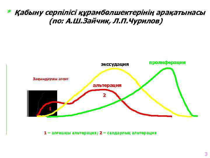 * Қабыну серпілісі құрамбөлшектерінің арақатынасы (по: А. Ш. Зайчик, Л. П. Чурилов) экссудация пролиферация