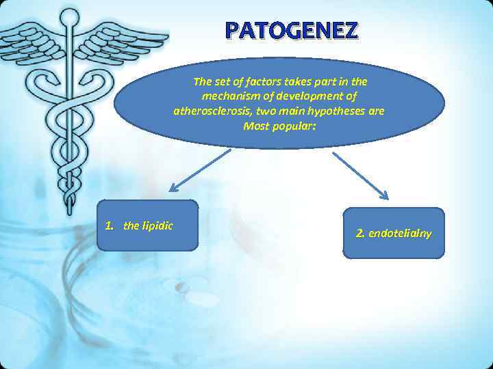 PATOGENEZ The set of factors takes part in the mechanism of development of atherosclerosis,