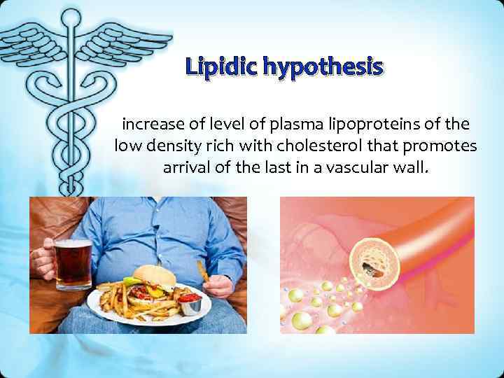 Lipidic hypothesis increase of level of plasma lipoproteins of the low density rich with