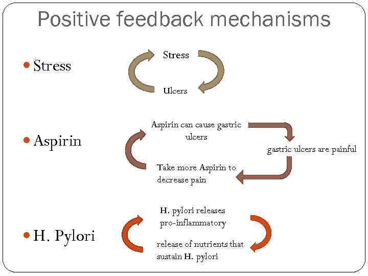 Positive feedback mechanisms Stress Ulcers Aspirin can cause gastric ulcers are painful Take more