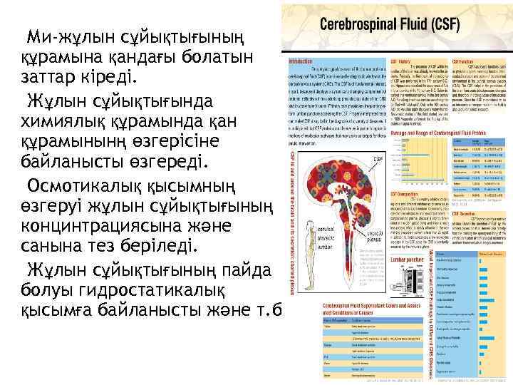 Ми-жұлын сұйықтығының құрамына қандағы болатын заттар кіреді. Жұлын сұйықтығында химиялық құрамында қан құрамынынң өзгерісіне