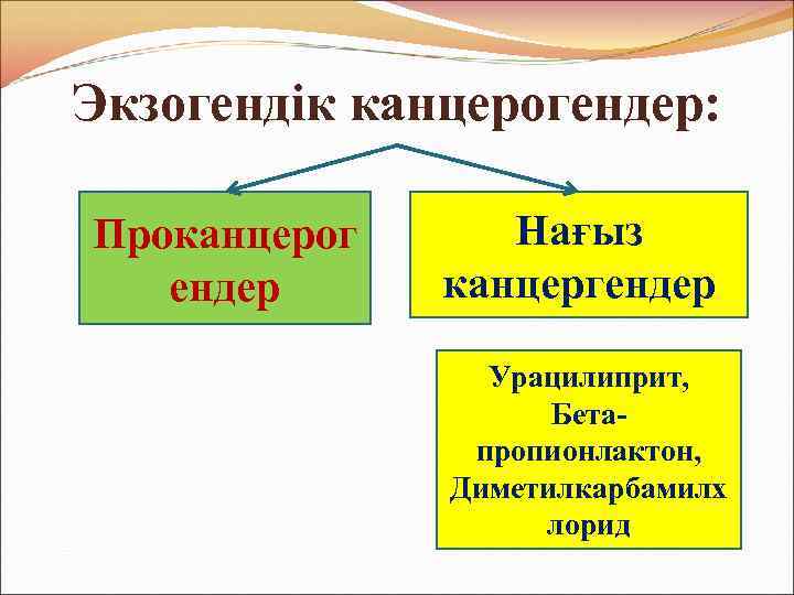 Экзогендік канцерогендер: Проканцерог ендер Нағыз канцергендер Урацилиприт, Бетапропионлактон, Диметилкарбамилх лорид 