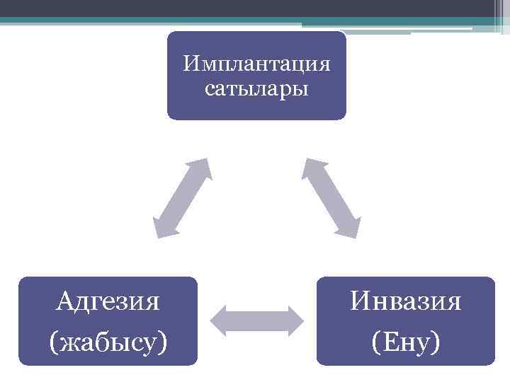 Имплантация сатылары Адгезия (жабысу) Инвазия (Ену) 