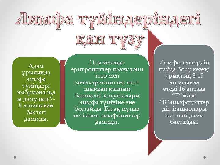 Лимфа түйіндеріндегі қан түзу Адам ұрығында лимфа түйіндері эмбриональд ы дамудың 78 аптасынан бастап