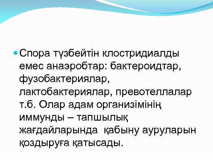  Спора түзбейтін клостридиалды емес анаэробтар: бактероидтар, фузобактериялар, лактобактериялар, превотеллалар т. б. Олар адам