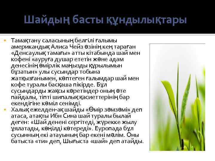 Шайдың басты құндылықтары Тамақтану саласының белгілі ғалымы американдық Алиса Чейз өзінің кең тараған «Денсаулық
