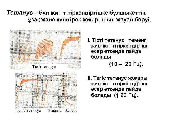Тетанус – бұл жиі тітіркендіргішке бұлшықеттің ұзақ және күштірек жиырылып жауап беруі. I. Тісті
