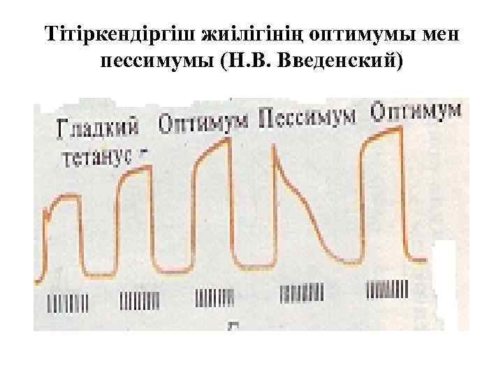 Көміртектің жалпы сипаттамасы презентация