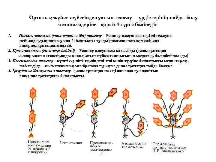 Орталық жүйке жүйесінде туатын тежелу үрдістерінің пайда болу механизмдеріне қарай 4 түрге бөлінеді: 1.