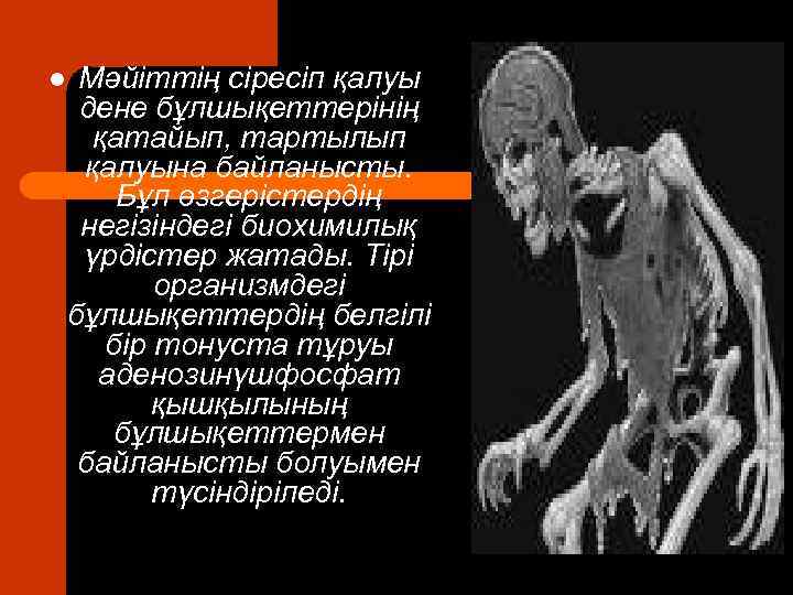 l Мәйіттің сіресіп қалуы дене бұлшықеттерінің қатайып, тартылып қалуына байланысты. Бұл өзгерістердің негізіндегі биохимилық