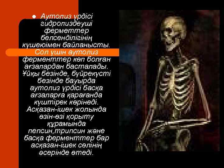 Аутолиз үрдісі гидролиздеуші ферметтер белсенділігінің күшеюімен байланысты. Сол үшін аутолиз ферменттер көп болған ағзалардан