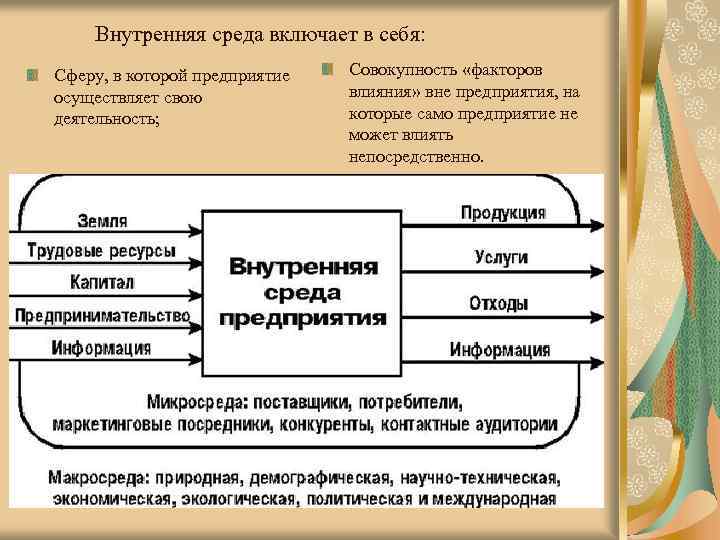 К внутренней среде относятся