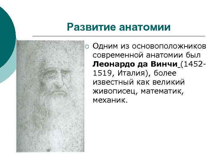 Развитие анатомии ¡ Одним из основоположников современной анатомии был Леонардо да Винчи (14521519, Италия),