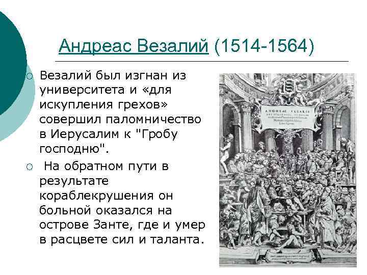 Андреас Везалий (1514 -1564) ¡ ¡ Везалий был изгнан из университета и «для искупления